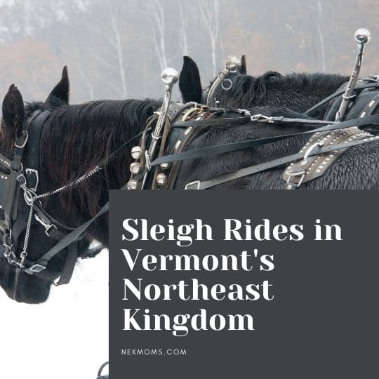 sleigh rides in vermont's northeast kingdom NEK